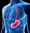 Gastro
